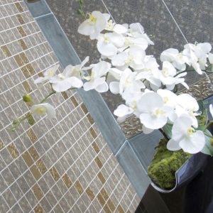 کاشی دیوار تبریز مدل ۷۵×۲۵ گالری طوسی