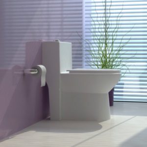 توالت فرنگی گلسار مدل لوسیا