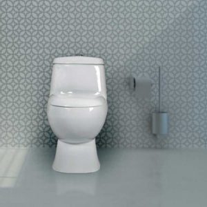 توالت فرنگی گلسار مدل پارامیس