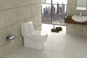 توالت فرنگی گلسار مدل پارمیس پلاس