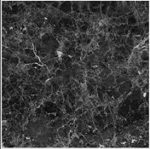 پرسلان راک مدل امپرادو 60×60