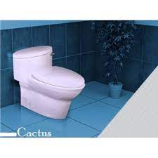 توالت فرنگی گلسار مدل کاکتوس